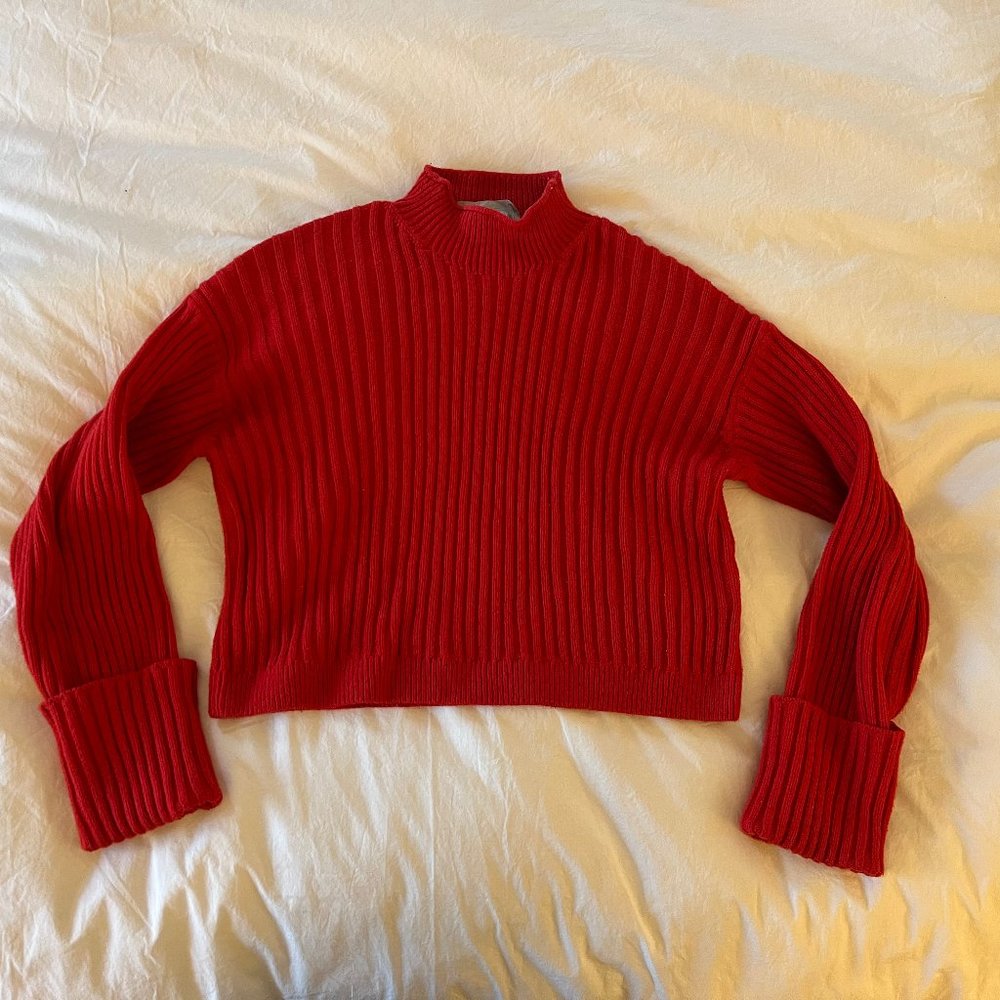Everlane Cotton Ribbed Rollneck Sweater in Goji Berry Size Small